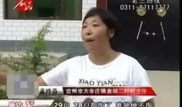 村霸事件爆料视频大全,揭露农村黑恶势力真相