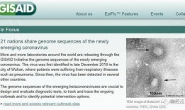 病毒专家爆料视频大全集,病毒爆发背后的真相与应对策略