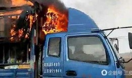 美国爆料卡车夫妻视频大全,温馨日常笑料百出