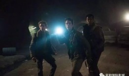 致命旅程在线观看,在线惊悚之旅，揭秘生死边缘的极限挑战